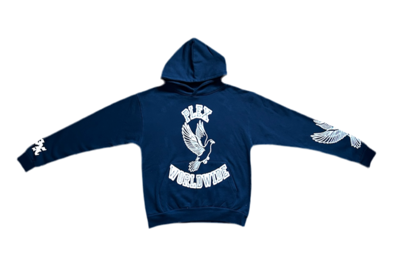 Varsity Logo hoodie