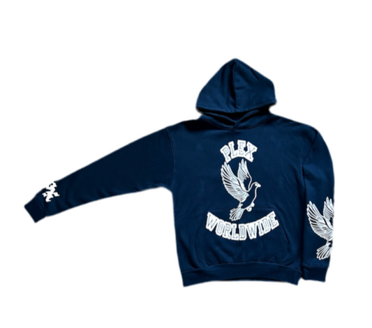 Varsity Logo hoodie